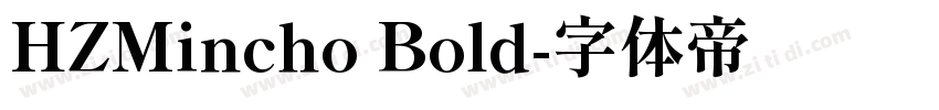 HZMincho Bold字体转换